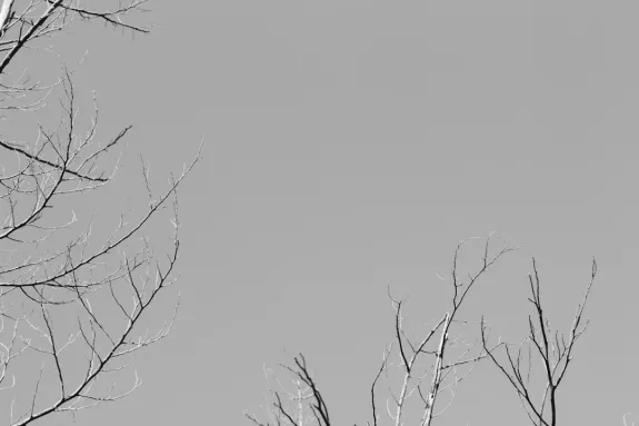 XCasino Casino Ënnerstëtzung